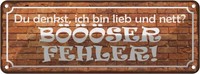 Blechschild 10X27 Cm Denkst Bin Lieb BÖÖÖSer Fehler Dekoration Spruch Zitat Deko