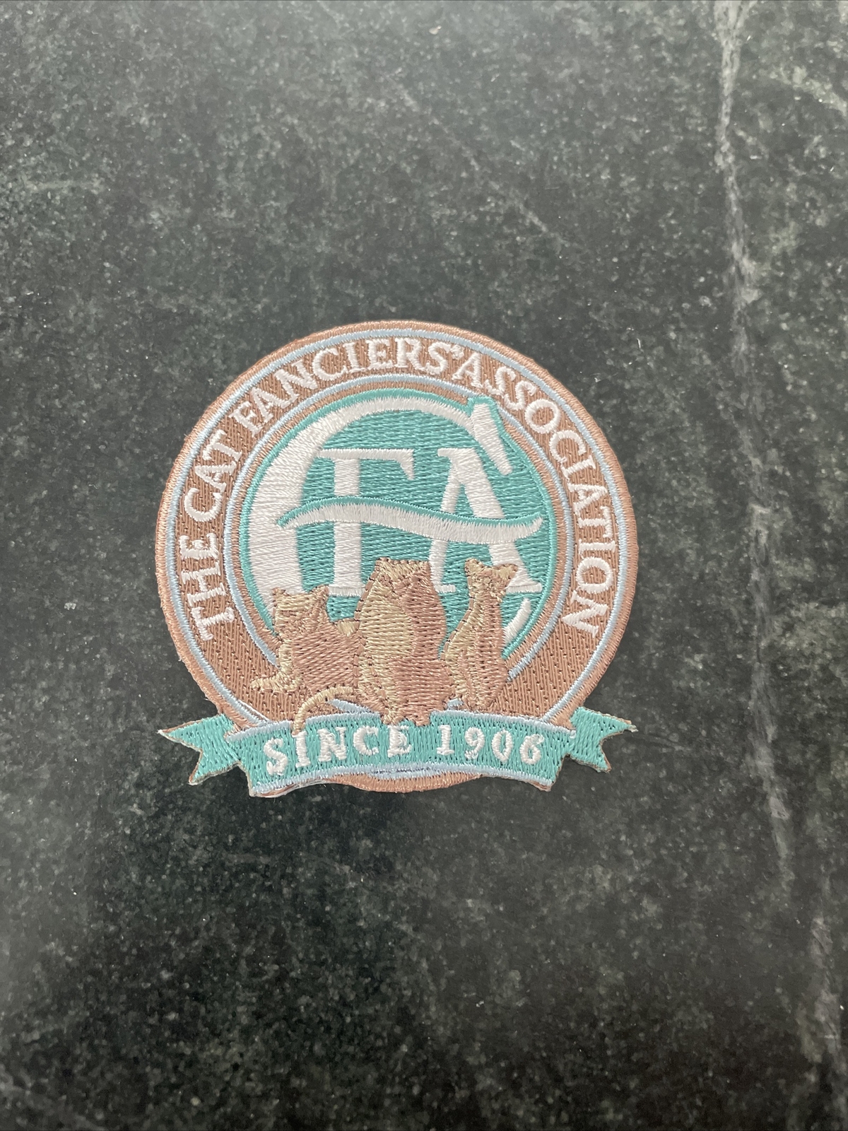 Rare 1906 CFA Iron On Patch for Trucker Hats and Jackets, 3