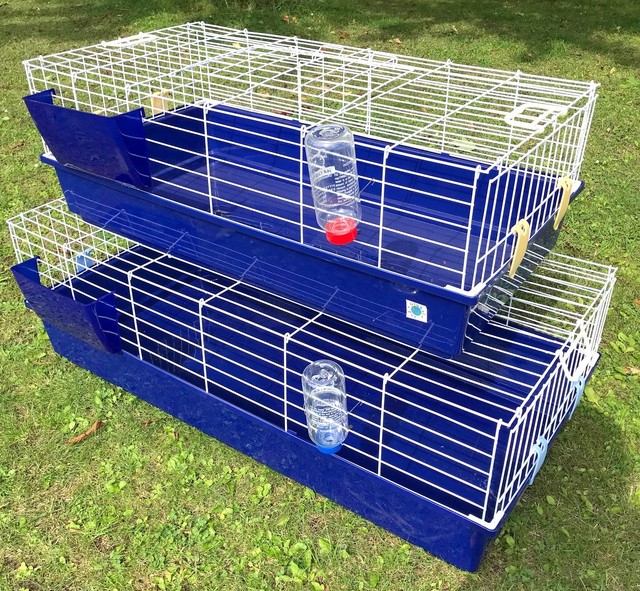 rabbit guinea pig cage