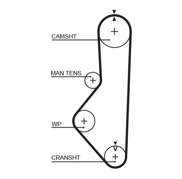 GATES-OE 5149XS Timing Belt for FORD,MAZDA - Image 6