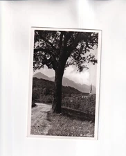 F6910) Carte postale, SCHWARZACH Vorarlberg - Staufenspitze Kurch Straße ALT