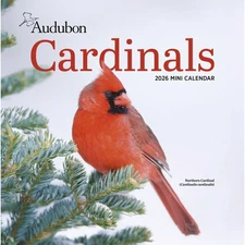 Workman Publishing,  Audubon Cardinals 2026 Mini Wall Calendar, 7'' X 7'', 12-Mo