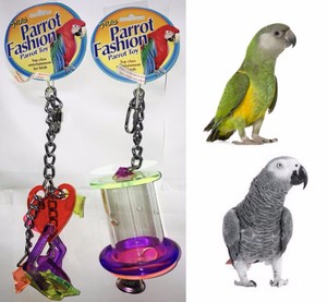 african grey toys