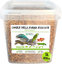 Camole della Farina Essiccate [ 800GR / 5000ml] Qualità Premium, 100% Naturale |