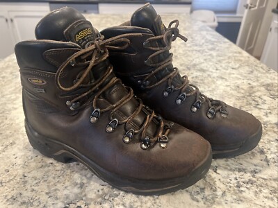 Asolo Men's TPS 520 GV EVO Backpacking Trail Hiking Boots Brown