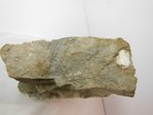 Picture 6 of 12