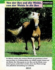 El cuidado de un caballo (2) - Tarjetas informativas