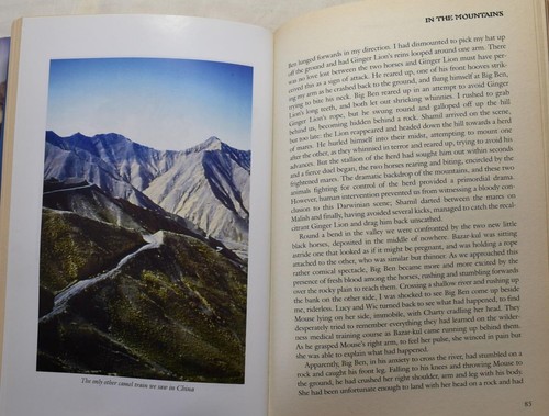 LAST SECRETS OF THE SILK ROAD, Tolstoy. SIGNED. Central Asia on Horseback - Picture 5 of 6