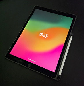 Apple iPad Pro with Pencil | eBay