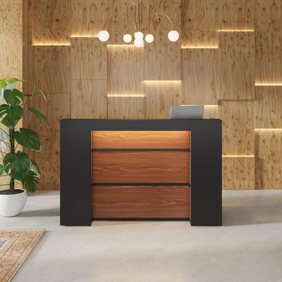 Reception Desk with LED Lights, 63 Inches Front Counter Desk for Office,Checkout