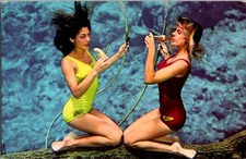 Spring Hill Florida FL : RISQUE - WEEKI WACHEE TOURIST ATTRACTION n/24 BI1414