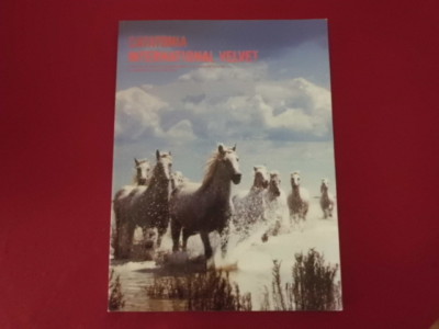 Catatonia - International Velvet . Songbook Notenbuch Piano Vocal Guitar PVG