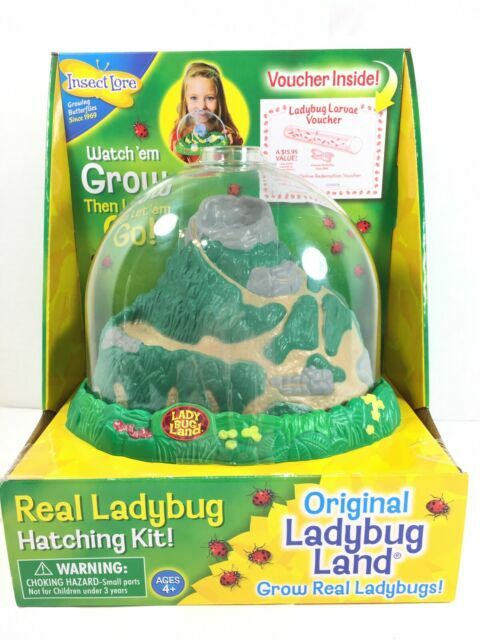 Insect Lore Ladybug Land For Sale Online Ebay