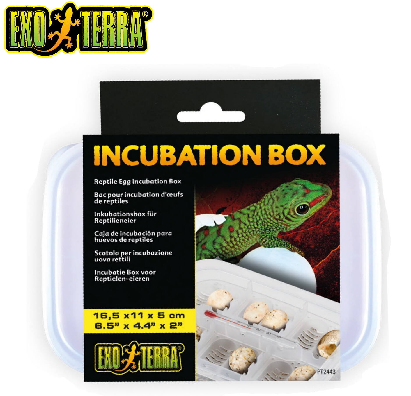 EXO TERRA INCUBATION BOX REPTILE EGG INCUBATION BOX 16.5 x 11 x 5CM EASY TO USE