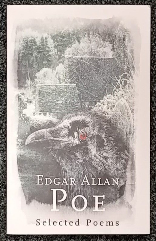 Edgar Allan Poe Selected Poems (Paperback book, 2010)
