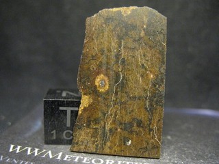 Meteorite NWA 13351 Ungrouped Achondrite (poikilitic igneous texture)