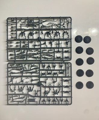 GW Warhammer 40k Drukhari / Dark Eldar Kabalenkrieger neue Modelle im Gussrahm