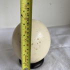 Foto 6 di 11