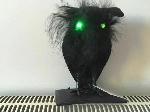 Black Celebration & Occasion Supplies