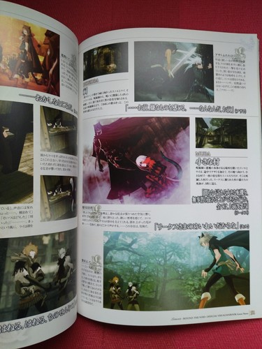 Lamento -BEYOND THE VOID- Official Visual Fan Book [GREEN NOTES Japanese Book - Picture 8 of 12
