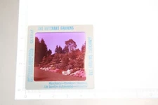Vintage Lot of 5 Pana-Vue Slides The Butchart Gardens 35mm 1964