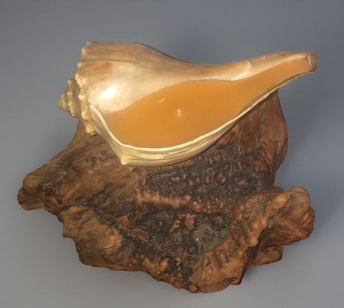 Aquatic Candles of California - Seashell Driftwood Candle, Unused Vintage