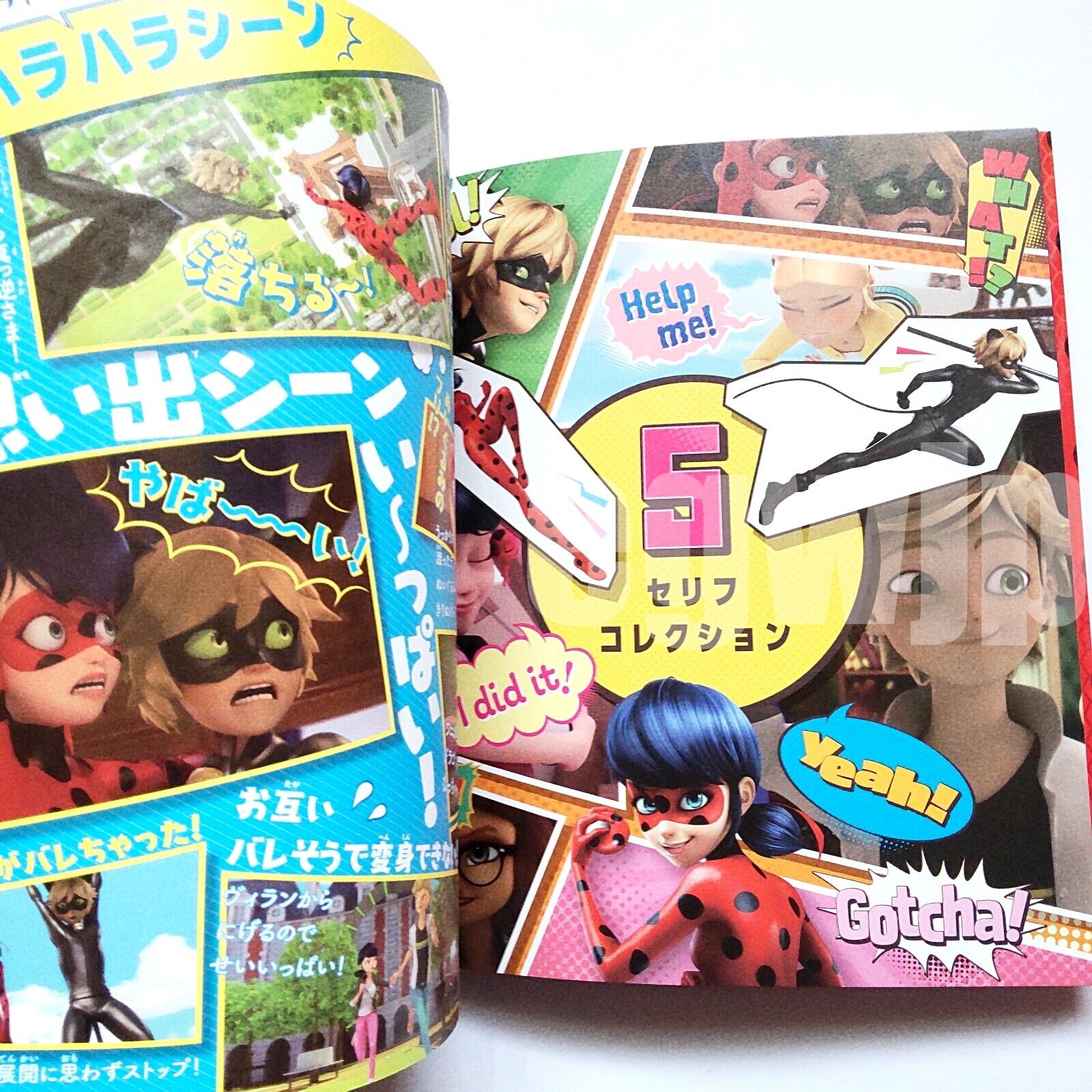 Miraculous Ladybug Books in Character Books 