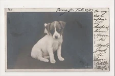 J-999 Adorable Little Puppy Dog  1907 early UDB Real Photo Postcard
