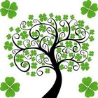 Shamrock Garden