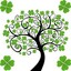 Shamrock Garden
