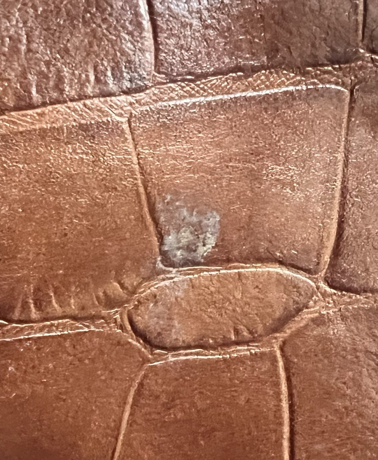 Picture 13 of 15