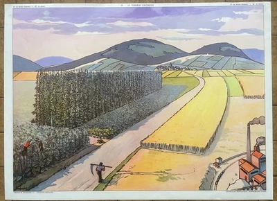 🌄 Ancienne affiche scolaire Rossignol, 1950 - 19 Terrain limoneux, 20 Plaine - Photo 1/2