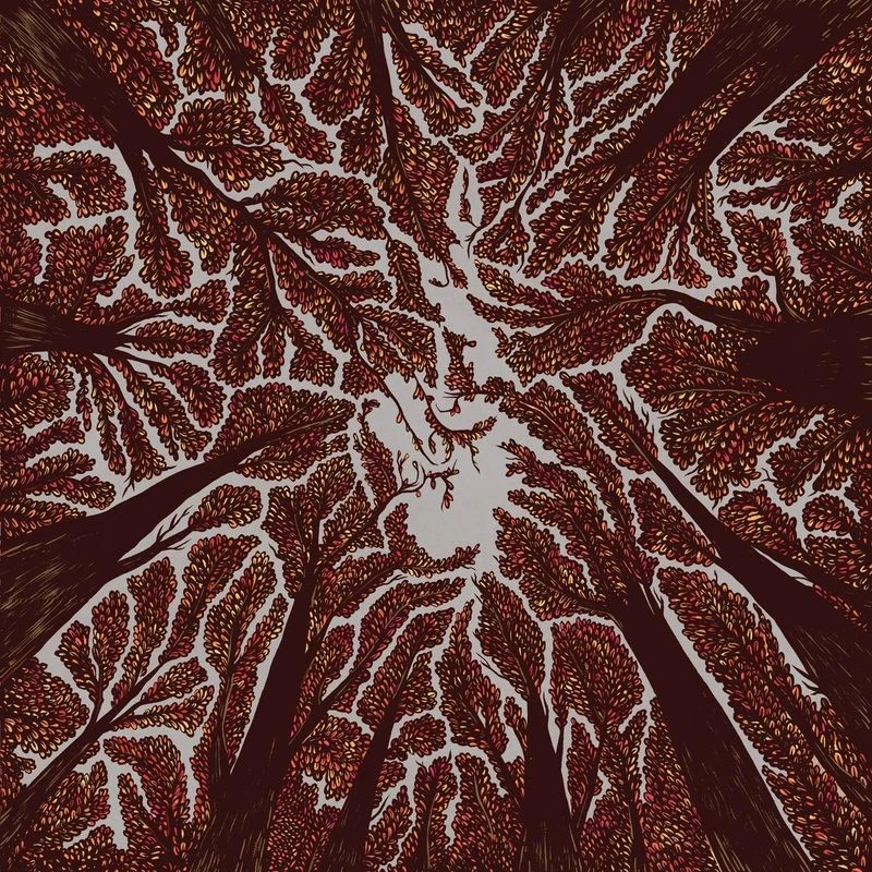 Crown Shyness - Bild 1 von 1