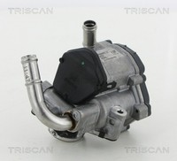 AGR Ventil Triscan 8813 29069 FüR VW Seat Arteon Skoda A1 CC Audi Beetle Sharan