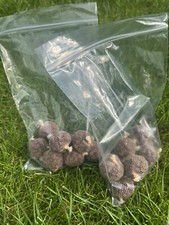 Special Offer CC MOORE PACIFIC TUNA 6 MM PELLETS 90  PVA Mesh Balls