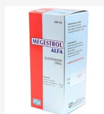 MEGESTROL 240 mL x 1 suspension Weight