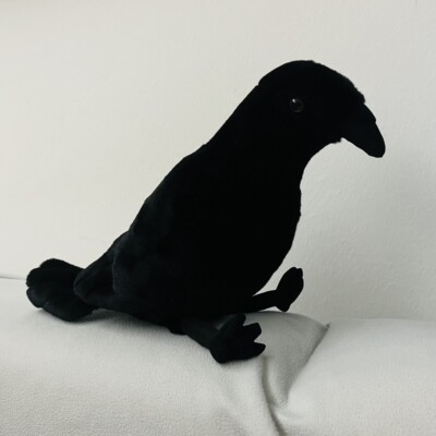 Raven Corvus Corax Crow Black Bird Cute Animal Soft Stuffed