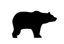 Bear Logo Vinyl Decal for Laptop Windows Wall Car boat tool box