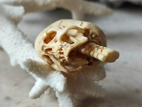 Memento mori Skull with cervical spine for necklace pendant Japanese netsuke - Imagen 16 de 24