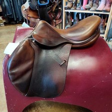 Biarritz- hunter/ jumper