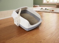 Amazon Basics Katzentoilette Groß Weiß Grau Offenes Katzenklo Schaufel 202005