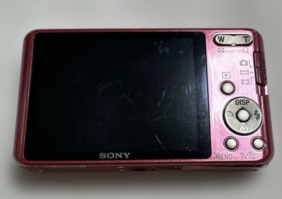 SONY Cyber-shot DSC-W570 Pink 5x Zoom 16.1 MP Digital Camera