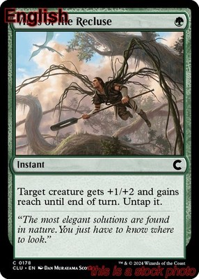 EN - Vines of the Recluse - 178 - CLU - NM