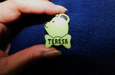 BLASSGRÜNE EMAILLIERTE KUPFER BROSCHE TEDDYBÄRFORM PERSONALISIERT TERESA
