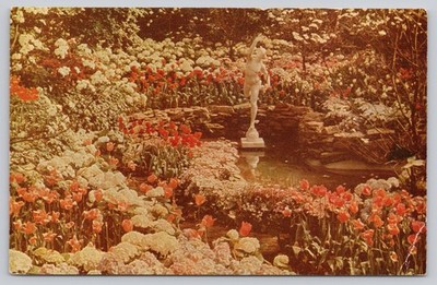 Vintage Spring Flower Show Phipps Conservatory Garden Postcard PA