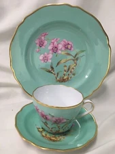 c1900 Spode  HandPainted Celadon Dendrobium Var No. 10  TRIO SET  Price Y5627