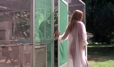 HOTTER THAN HELL dvd -r NOT blu-ray D: Doris Wishman NTSC Reg. 0 ws aka Immoral3