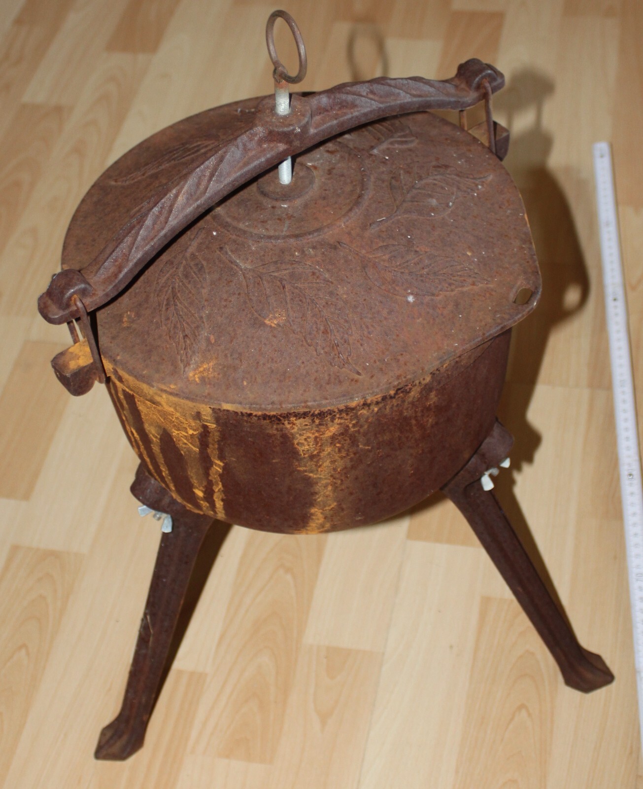 Picture 7 of 24