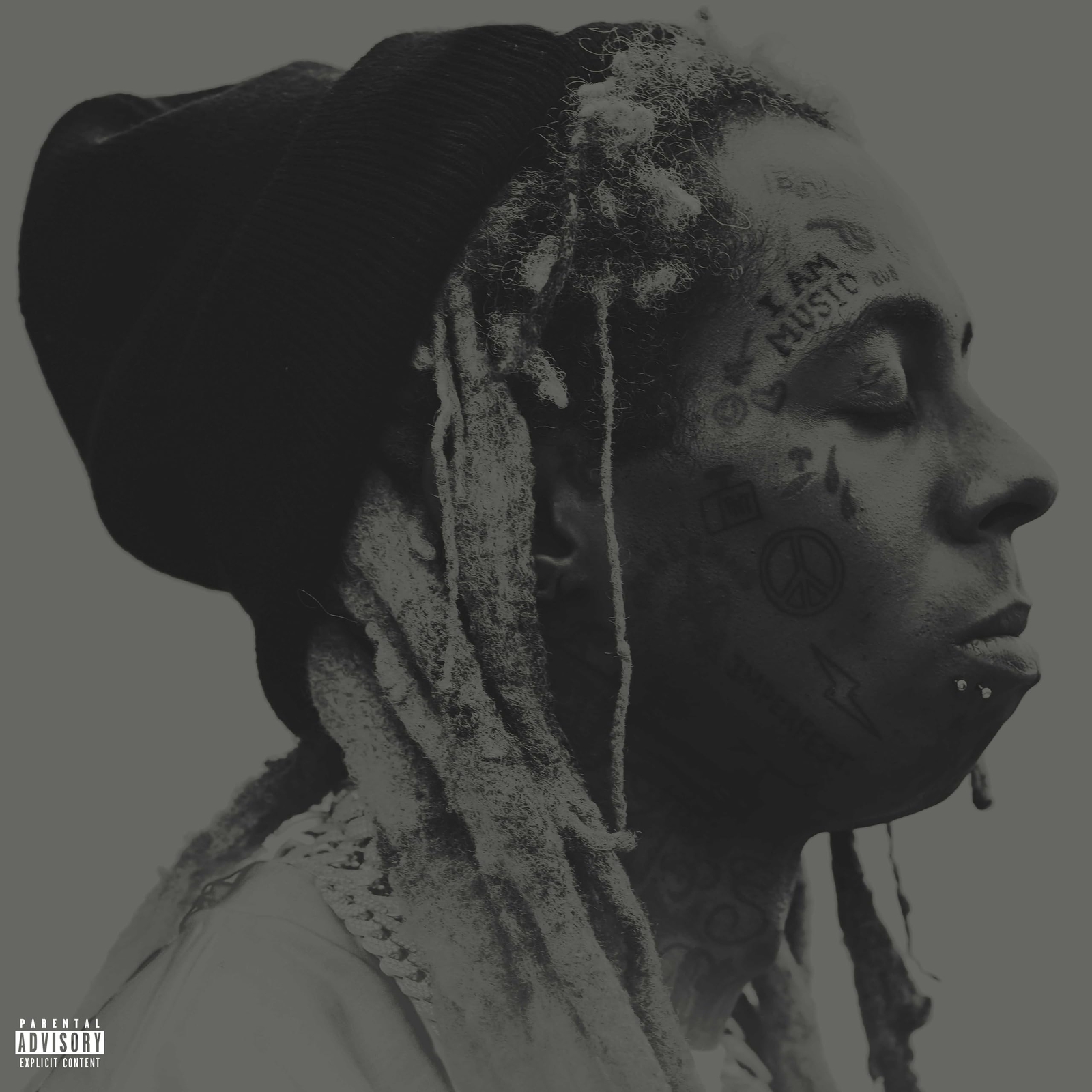Lil Wayne I Am Music (Vinyl LP)