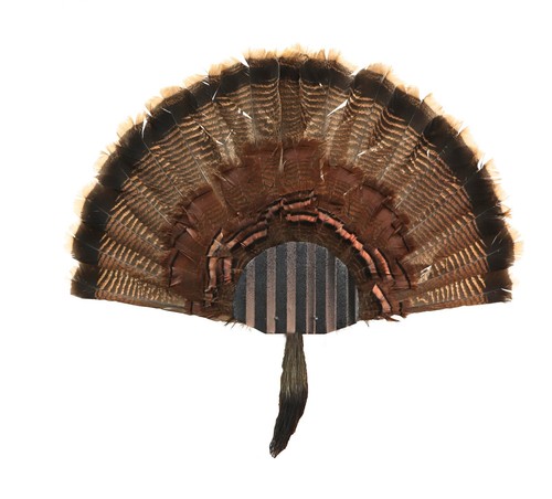 Turkey Fan Mounting Kit. Multiple Fan Display System with beard holder. Black - Picture 2 of 6